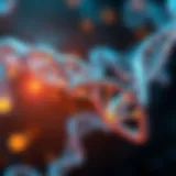 Genetic pathways involved in epilepsy