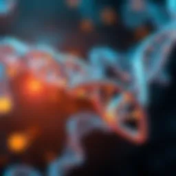 Genetic pathways involved in epilepsy