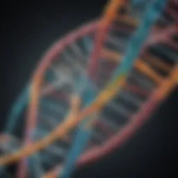 DNA double helix structure representing genetic factors in ASD