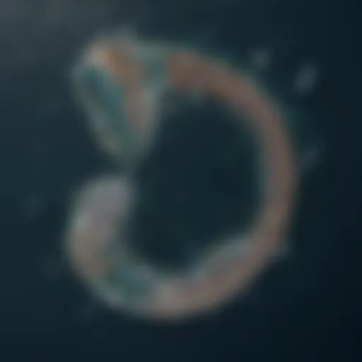 Satellite view of the Great Pacific Garbage Patch
