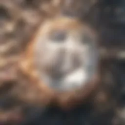 Innovative medical technology in action