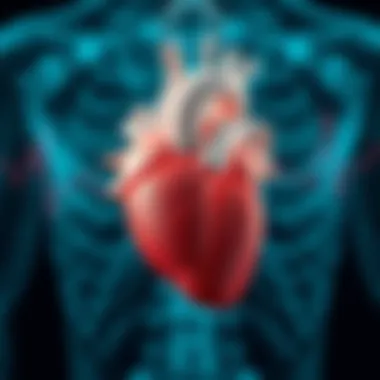 Diagram showing heart anatomy relevant to atrial fibrillation