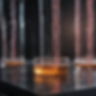 Impact on Genetic Analysis Impact of gel electrophoresis on genetic analysis