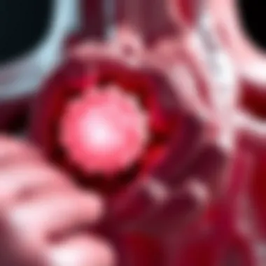 Visual representation of Myasthenia Gravis pathology