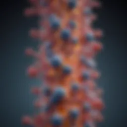 Illustration depicting the structure of kappa opioid receptors