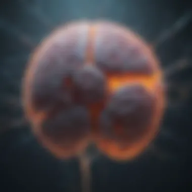 Neural Pathways and Brain Connectivity Neural pathways illustrating connectivity and communication in the brain