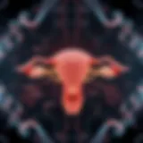 A detailed diagram illustrating the biological mechanisms of ovarian function.