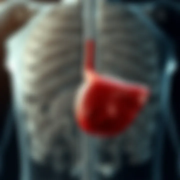 Liver Function and Ammonia Processing Diagram representing liver function and ammonia processing