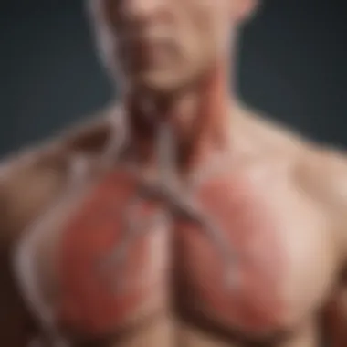 Understanding the respiratory system and its impact on blood pressure Diagram of the respiratory system