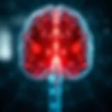 Lung Cancer and Its Metastasis to the Brain Introduction