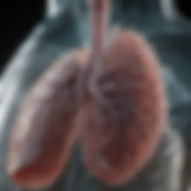 Lung Cancer Types Linked to Ground Glass Opacity Comparative analysis of different lung cancer types associated with GGO