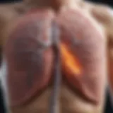 Diagram illustrating lung cellular damage from chemotherapy