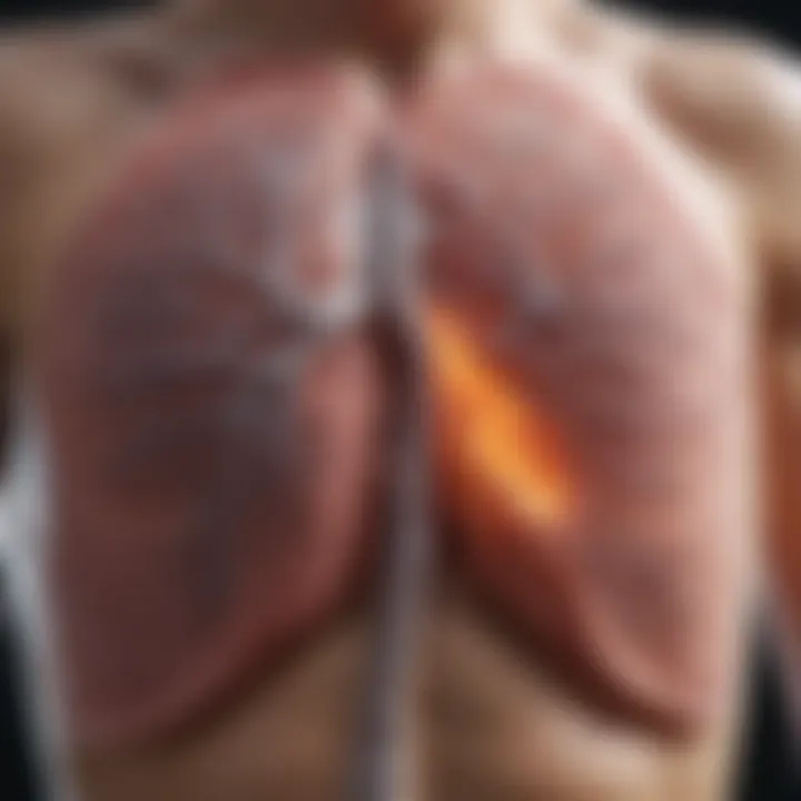 Diagram illustrating lung cellular damage from chemotherapy