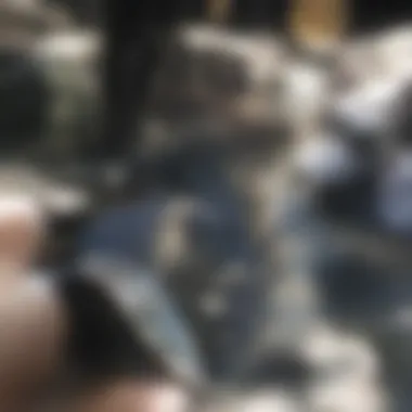 Advanced Techniques for Reactive Oxygen Species Detection Advanced detection techniques for ROS