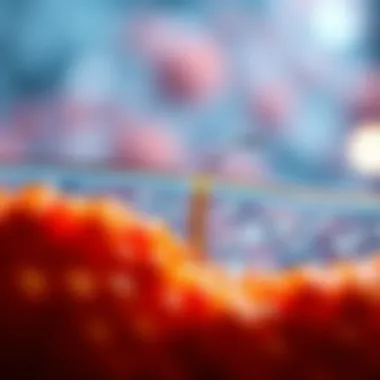 Osmosis and Membrane Functionality Diagram explaining the principle of osmosis in membranes