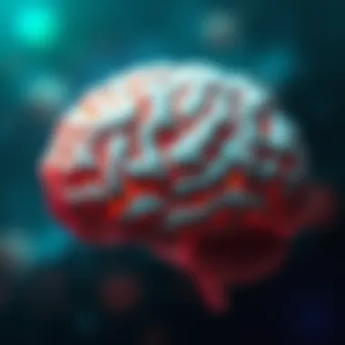 Key Brain Regions Linked to Memory Brain regions involved in memory
