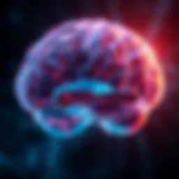 Neural pathways affected by TBI