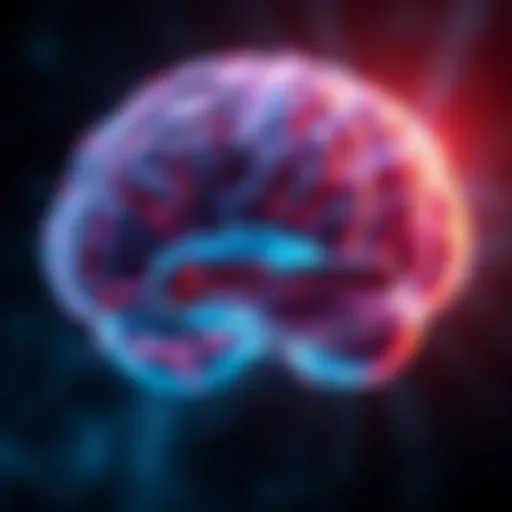 Neural pathways affected by TBI