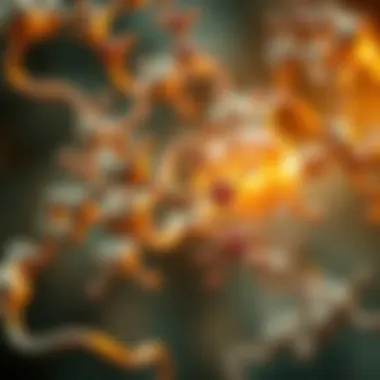 Metabolism and Energy Storage Visual explanation of metabolic pathways involving energy storage