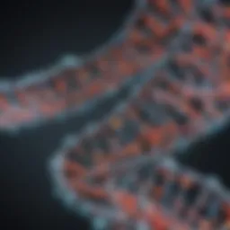 Illustration showing the structure of a minisatellite in DNA
