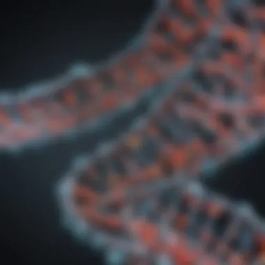 Illustration showing the structure of a minisatellite in DNA