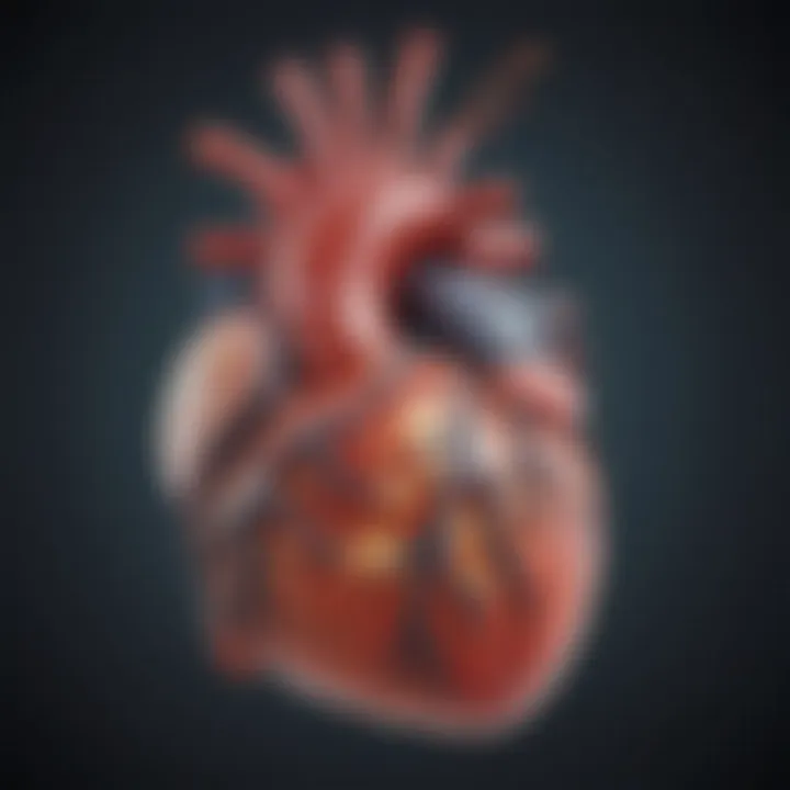 Diagram illustrating the mechanism of action of Mineralocorticoid Receptor Antagonists in heart physiology