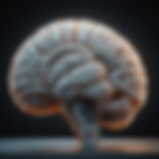 MRI scan showcasing brain structures