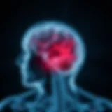 Understanding Multiple Sclerosis Progression
