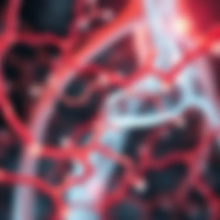 Nitric Oxide and Vascular Health Graphical representation of nitric oxide's role in vascular health