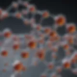 Molecular structure analysis of lead compounds