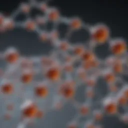 Molecular structure analysis of lead compounds