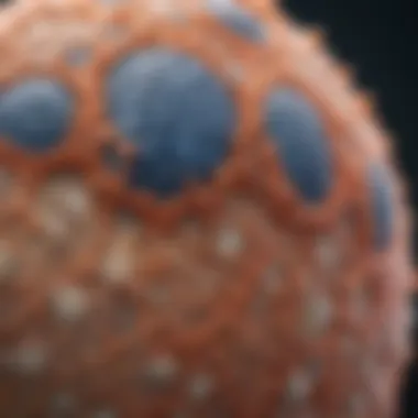 Keratinocytes in Psoriasis Pathology Role of keratinocytes in the skin pathology of psoriasis