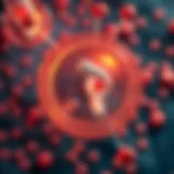 Illustration depicting the mechanisms of action of various diabetes medications.