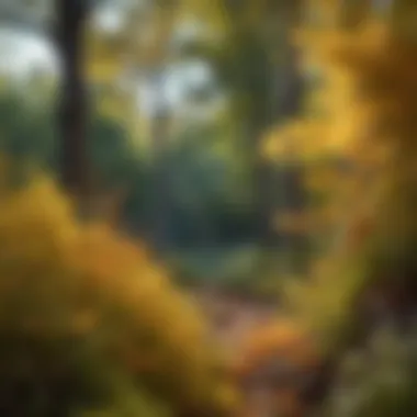 Seasonal changes in foliage with pollen emissions