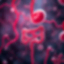 Diagram showing the interaction of probiotics with gut microbiota