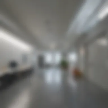 Overview of modern psychiatric facility in London