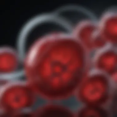 Current Research on Blood Transfusion and Cancer Visual summary of current research findings regarding blood transfusions and cancer prognosis