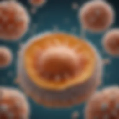 Illustration depicting the role of Saccharomyces cerevisiae in gut health