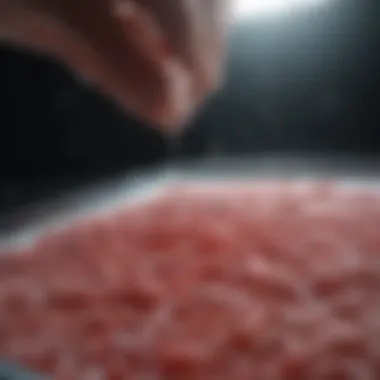 Importance of Sample Preparation Significance of sample preparation for RNA integrity