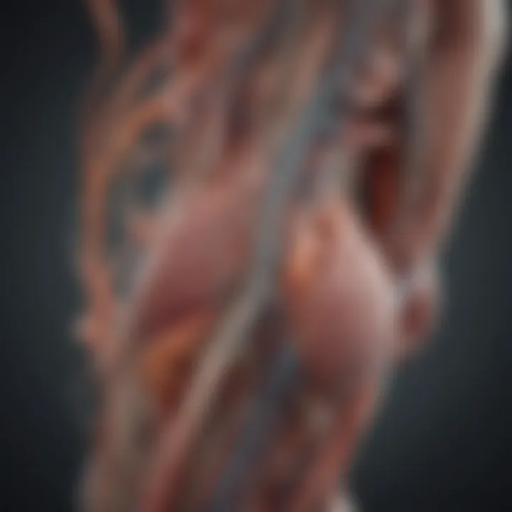 Neurological pathways influencing muscle tone