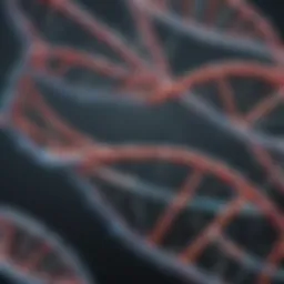 Molecular structure of single-stranded DNA