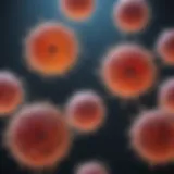 A visual representation of various types of stem cells showcasing their diversity and characteristics.