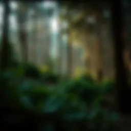 Sustainable Use of Forests: A Comprehensive Examination Introduction