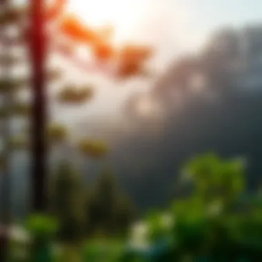 Notable Sustainable Use of Forests: A Comprehensive Examination