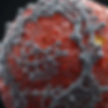 Molecular Insights into Taste Masking Polymers Molecular structure of taste masking polymers