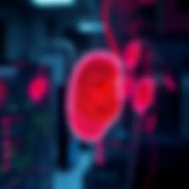 Future advancements in pancreatic cancer diagnostics