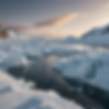 Impact of Ice Melt on Global Sea Levels Illustration of rising global sea levels due to ice melt