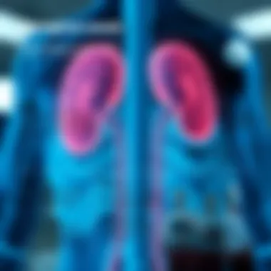 Infographic on treatment strategies for managing iron levels in kidney patients