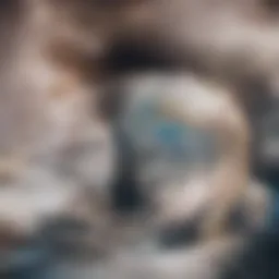 Visual representation of physiological changes in prostate cancer patients