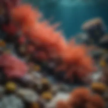 Vibrant Coral Reef: A Testament to Biodiversity A thriving coral reef showcasing diverse marine life